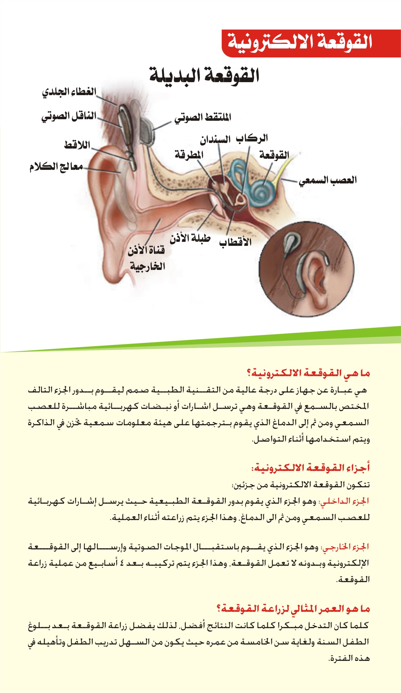  الالكترونية-2